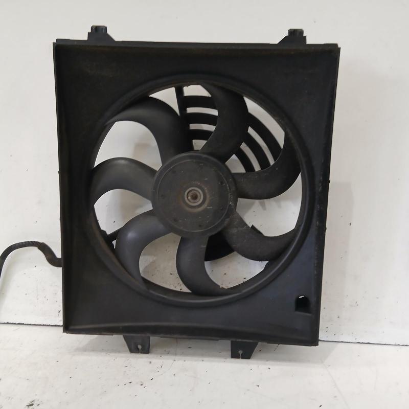 fan