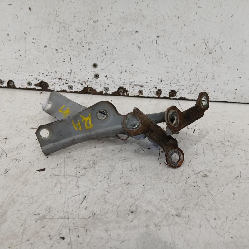 bonnet hinge/strut