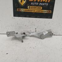 bonnet hinge/strut