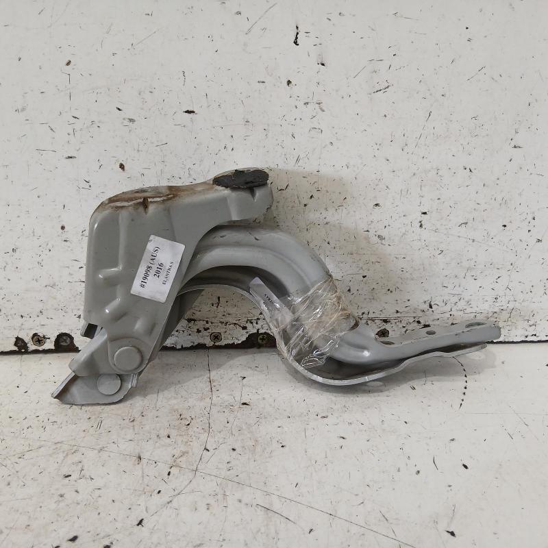 bonnet hinge/strut