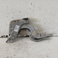bonnet hinge/strut