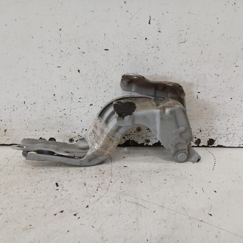 bonnet hinge/strut