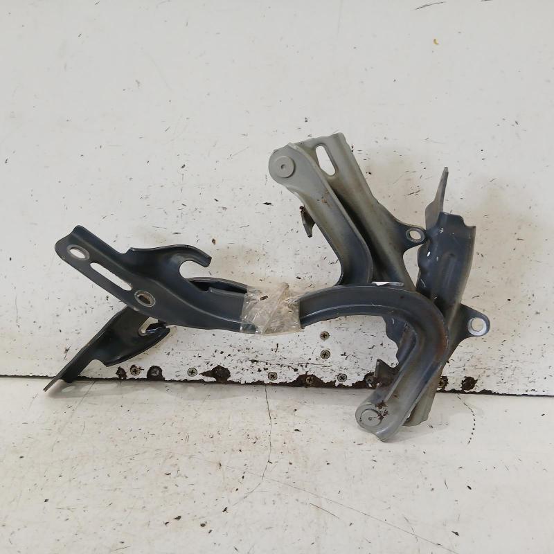 bonnet hinge/strut