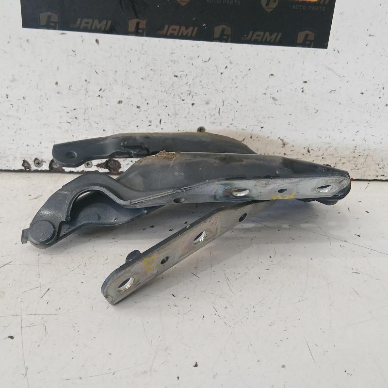 bonnet hinge/strut