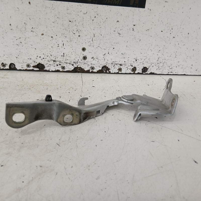 bonnet hinge/strut