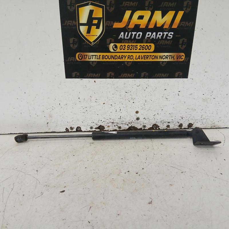 hatch strut