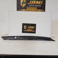 body/door mould