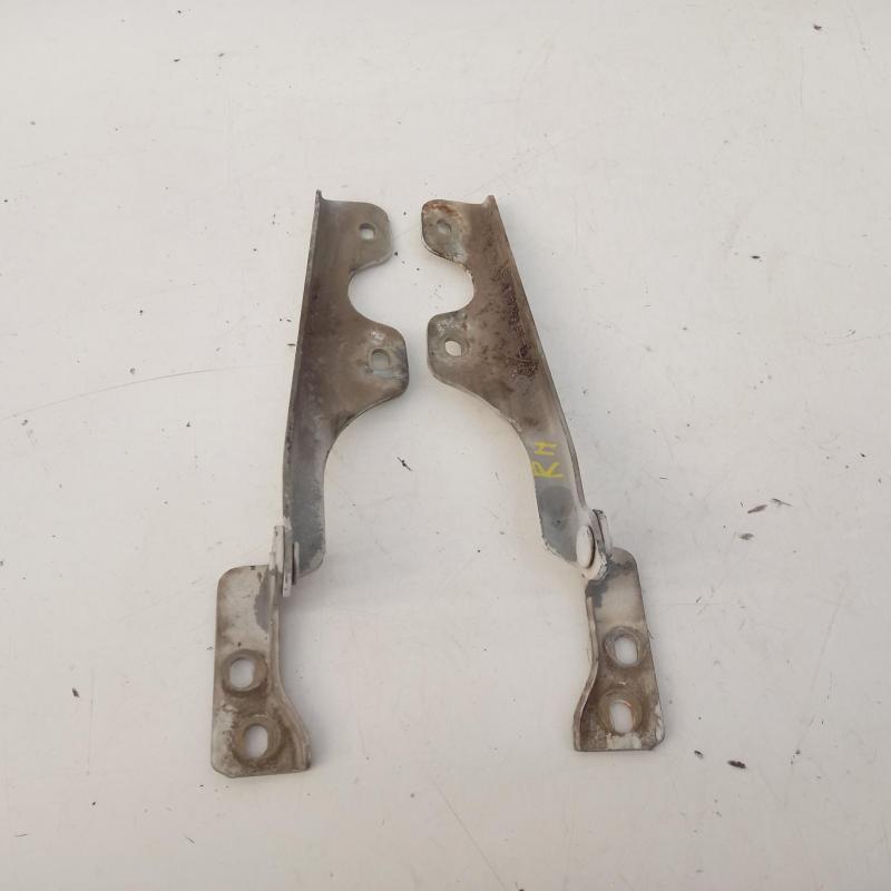 bonnet hinge/strut