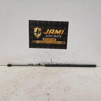 bonnet hinge/strut