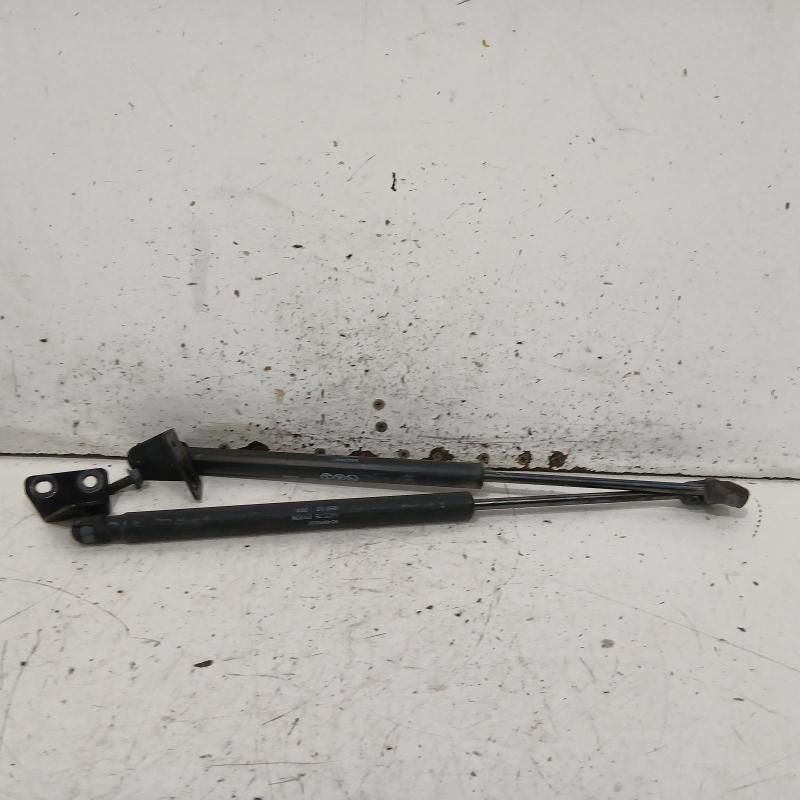 bonnet hinge/strut