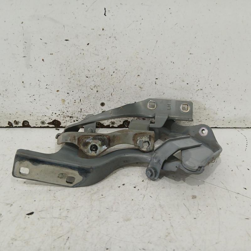 bonnet hinge/strut