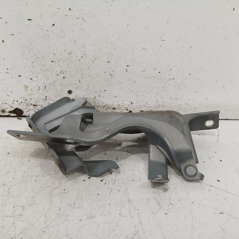 bonnet hinge/strut