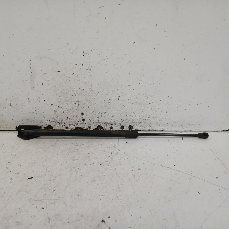 hatch strut