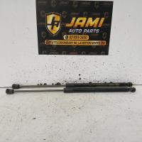 hatch strut