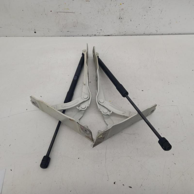 bonnet hinge/strut