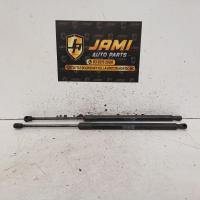 hatch strut