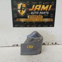 body/door mould