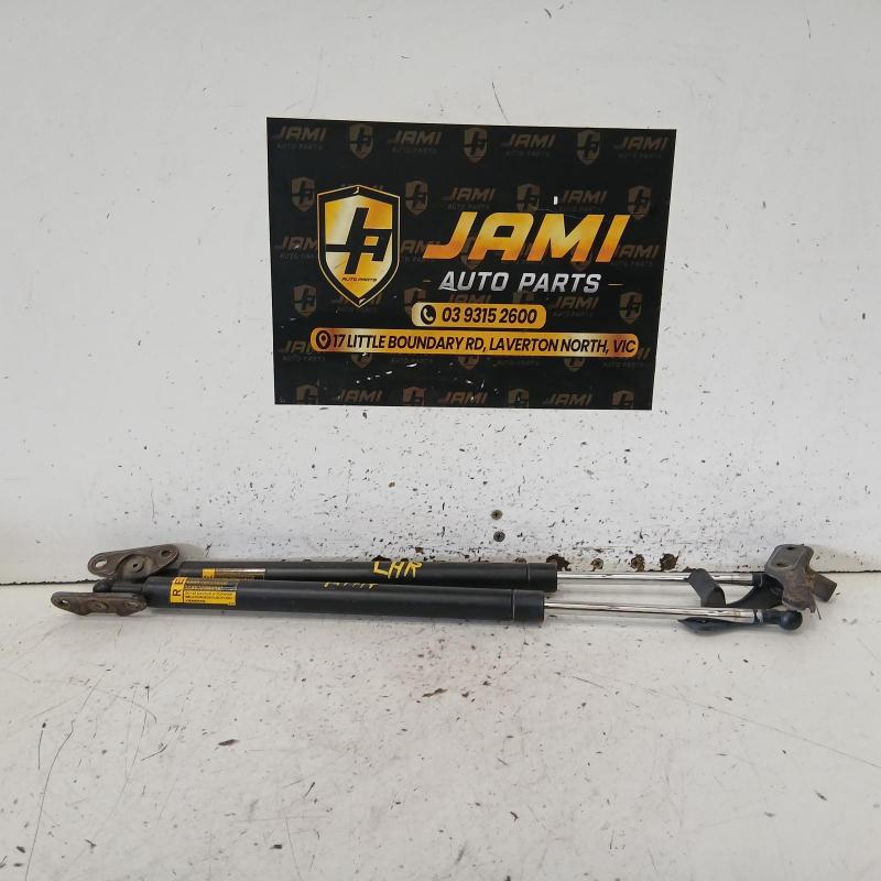 hatch strut