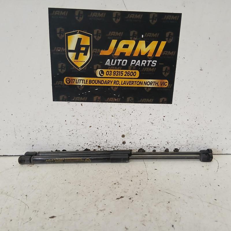 hatch strut