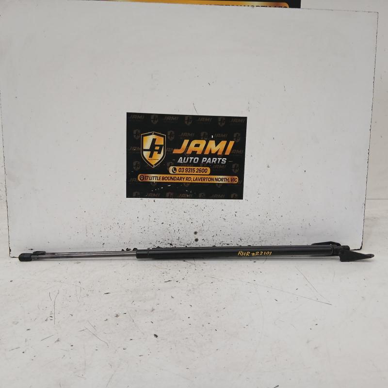 hatch strut
