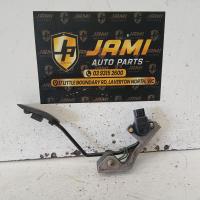 pedal assembly
