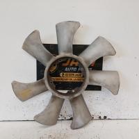 fan