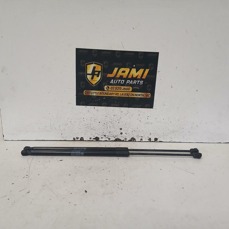 hatch strut