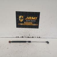 bonnet hinge/strut