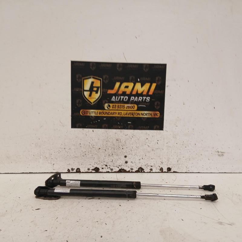 hatch strut
