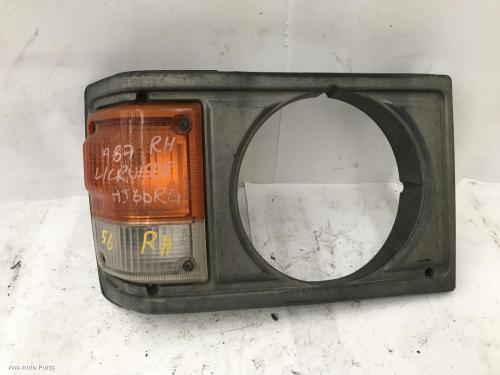 indicator/fog/side right