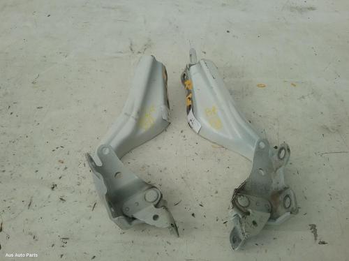 bonnet hinge/strut