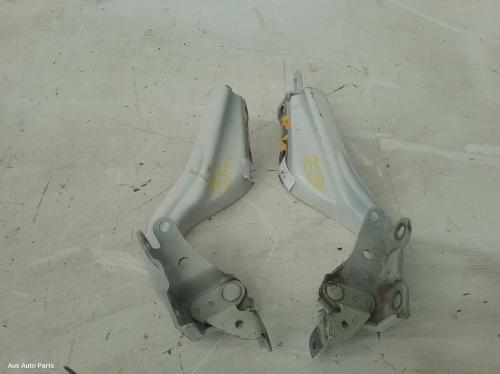 bonnet hinge/strut