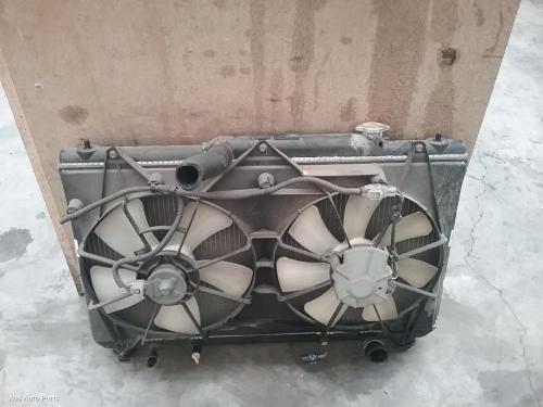 fan