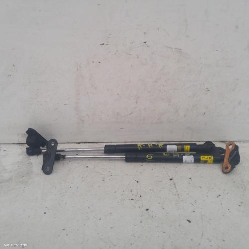 hatch strut