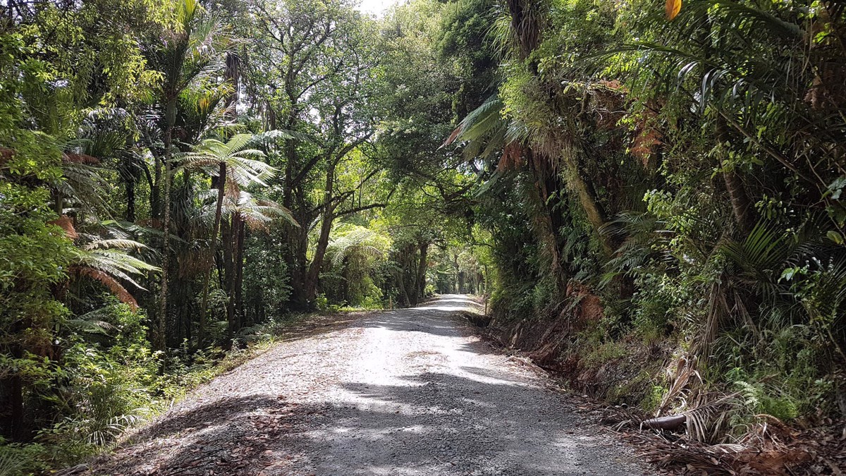 Fern Flat Road - Overland Navigator by Overland New Zealand