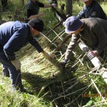 2014 Course Dates!!<br/>BOOK YOUR PLACES TODAY