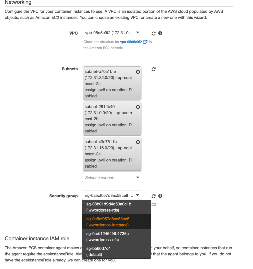 Putting all things together using aws task definition salzam