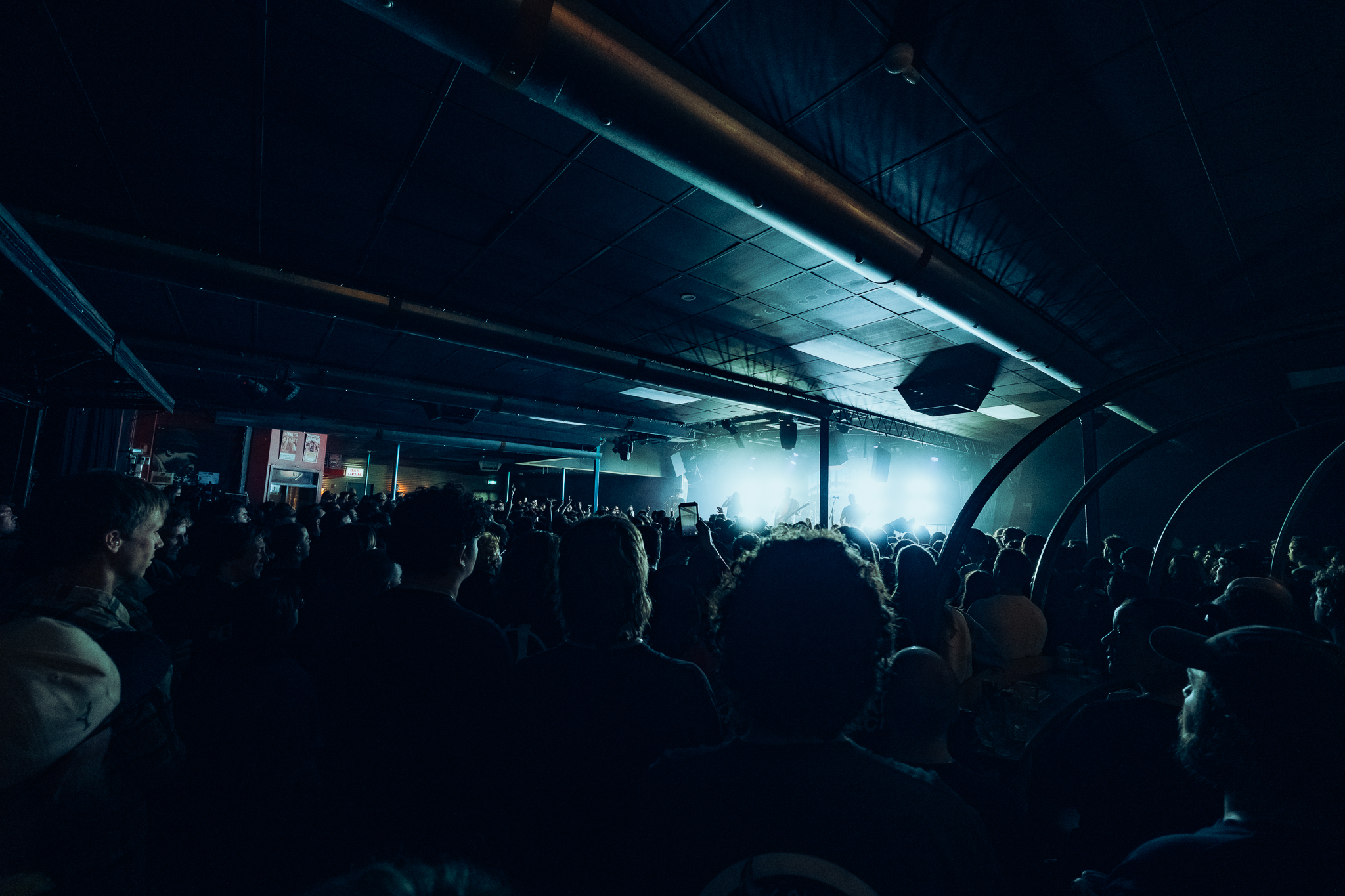 Hot Mulligan - The Gov