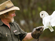 raptor-domain-dave-1170x430