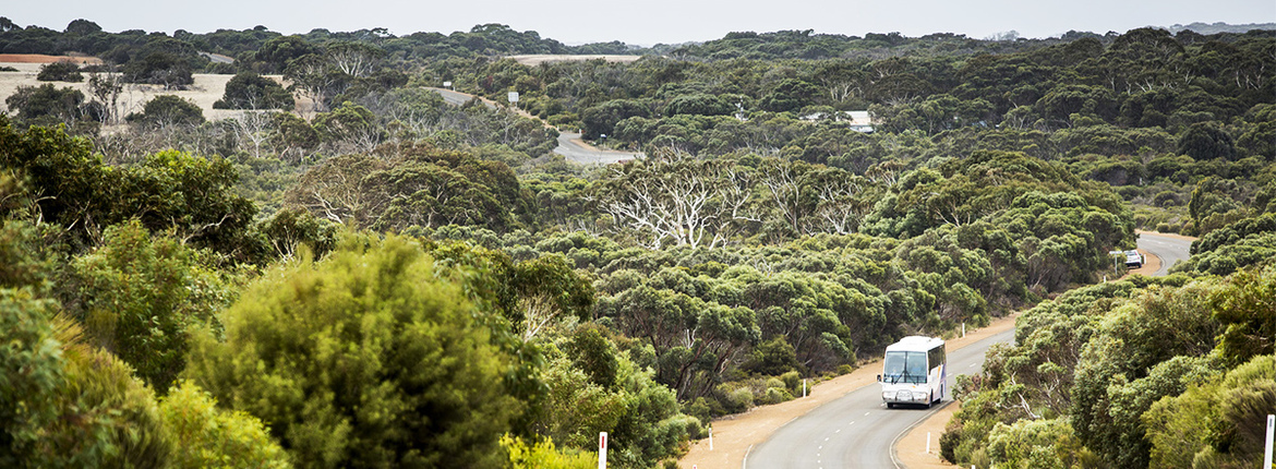 coach-tour-ki-1200x450