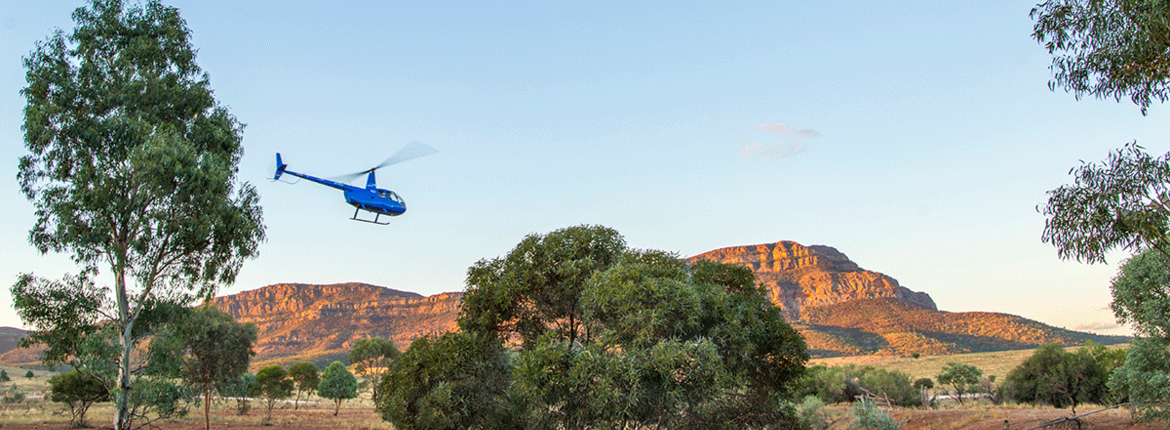 wilpena-pound-1200x500