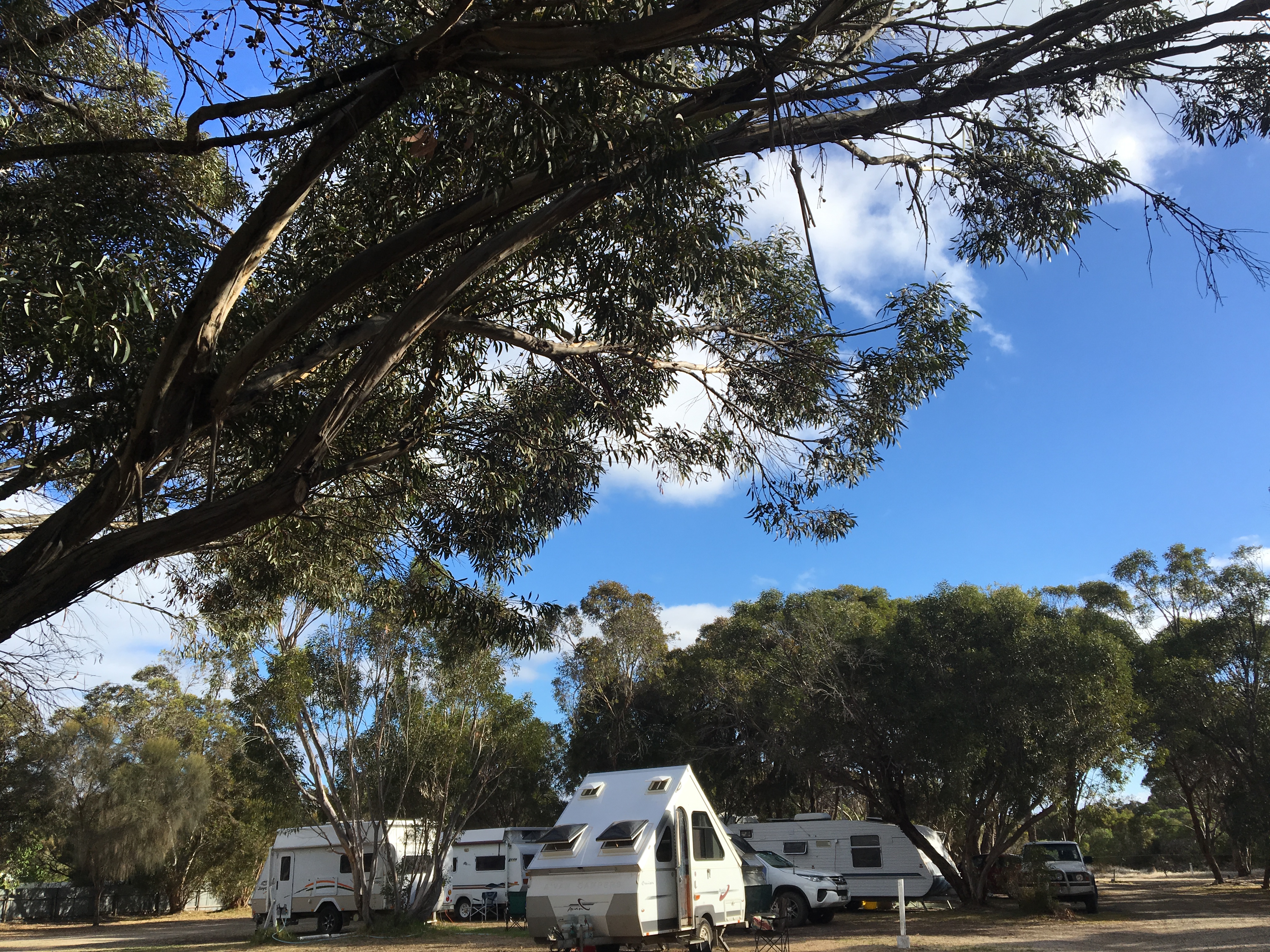 Kingscote Tourist Park & Family Units SeaLink Kangaroo Island