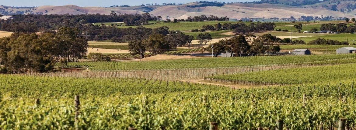Barossa