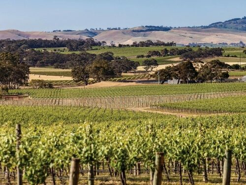 Barossa