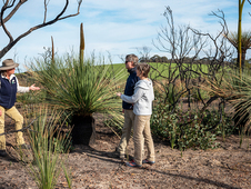 ki-regeneration-1170x470