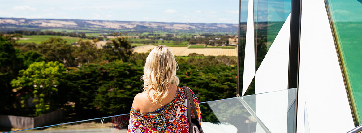 d'arenberg the cube views 1200x450