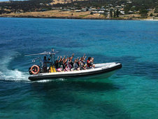 Kangaroo-Island-Ocean-Safari-boat-large