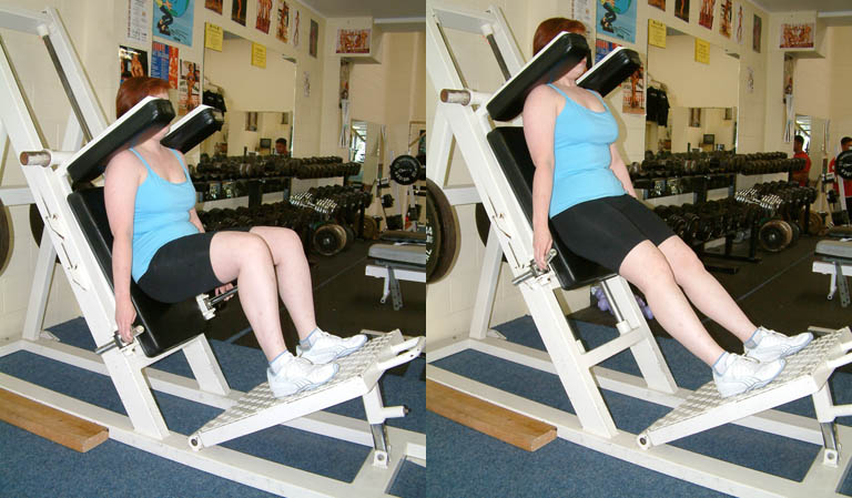 Weight Training Anatomical Adaptation Phase