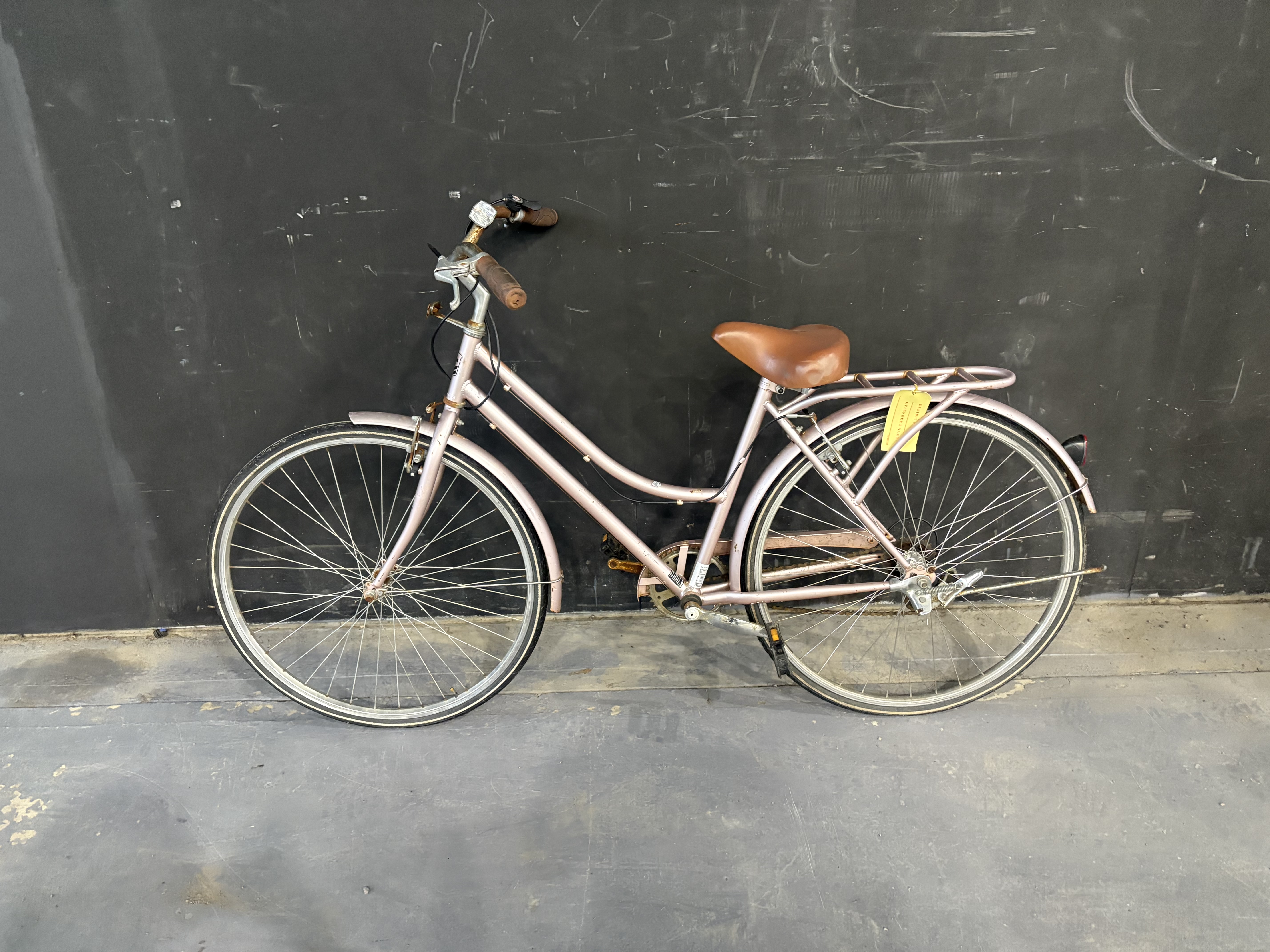 204 · Esplanade Power Cruiser Bicycle (Lost & Stolen)