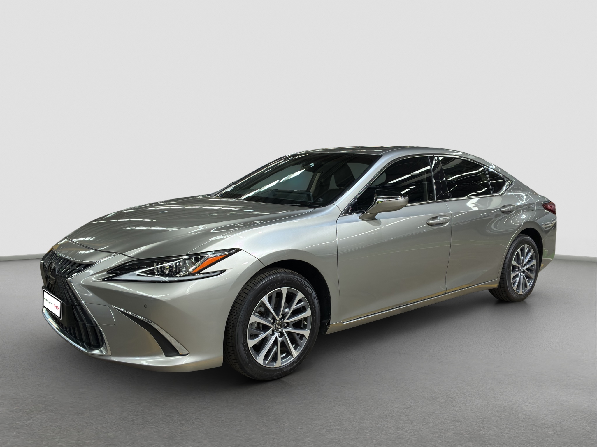 2023 Lexus ES 250 Luxury (Auto) (Petrol) (Ex Corporate)